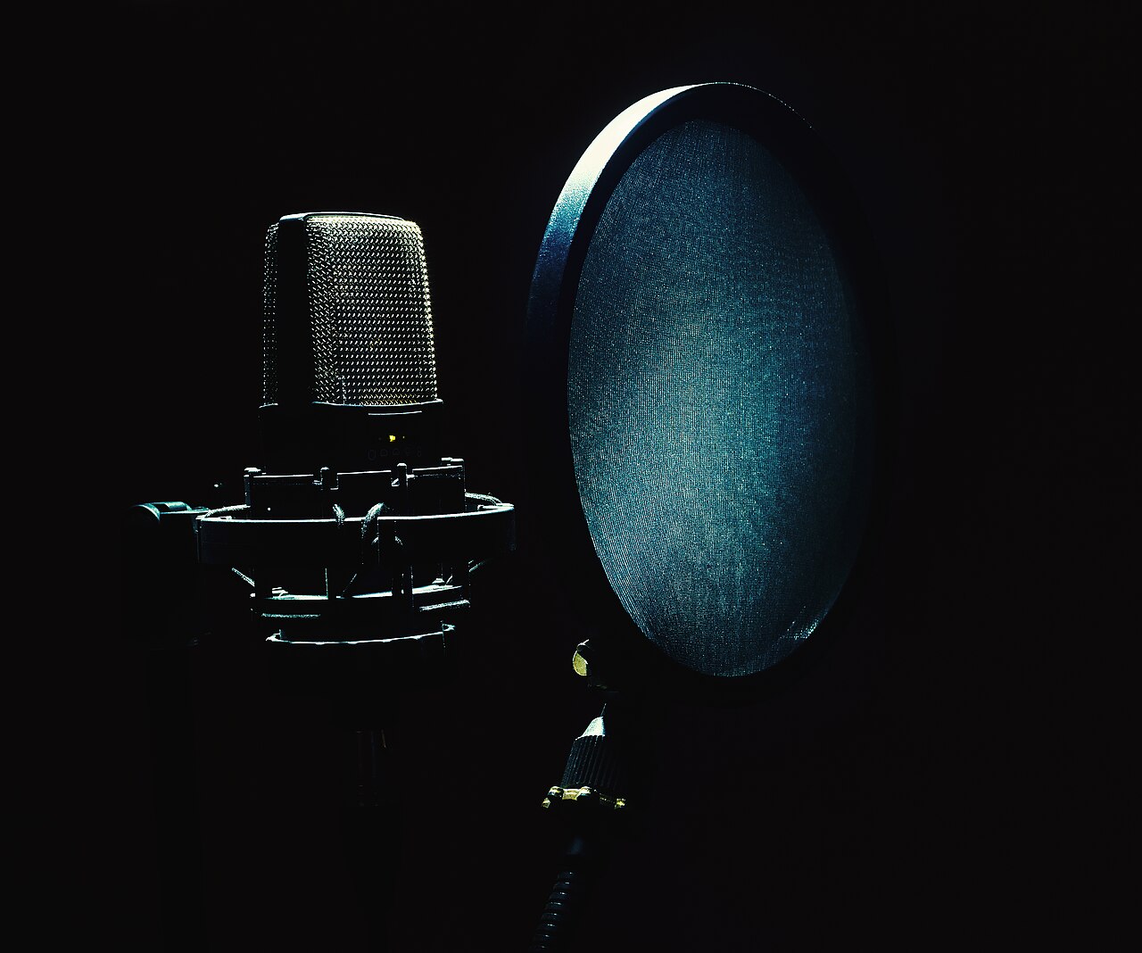 Studio microphone behind a round pop filter