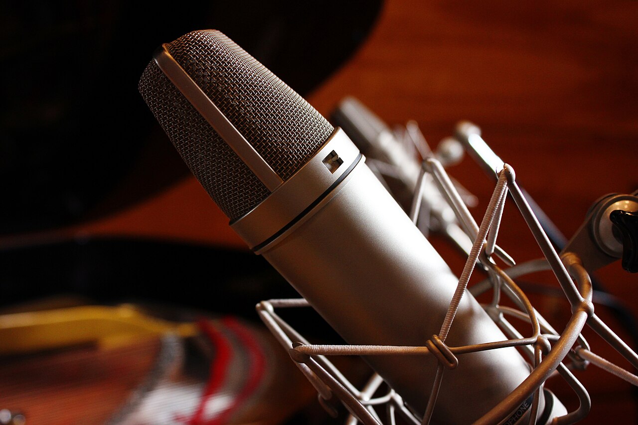 Large-diaphragm condenser microphone in a shock mount
