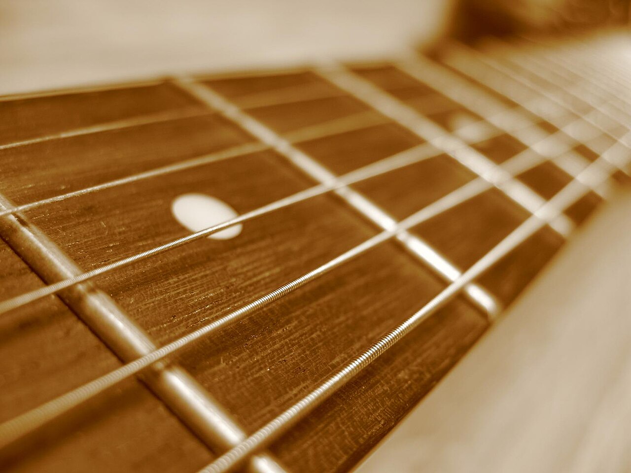 Close-up of strings and frets on a guitar
